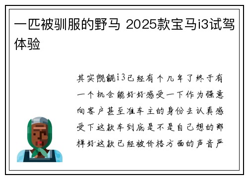 一匹被驯服的野马 2025款宝马i3试驾体验