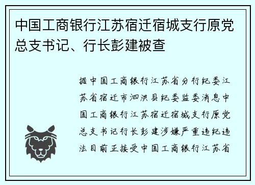 中国工商银行江苏宿迁宿城支行原党总支书记、行长彭建被查