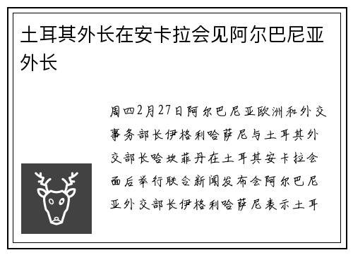 土耳其外长在安卡拉会见阿尔巴尼亚外长