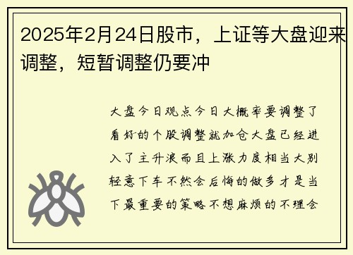 2025年2月24日股市，上证等大盘迎来调整，短暂调整仍要冲